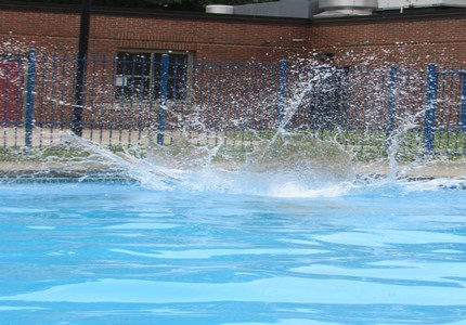 July 2017 Newsletter